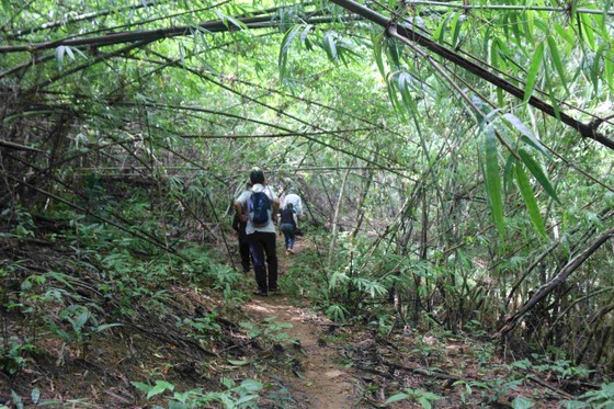 Bắt đầu khảo sát vùng rừng hơn 600ha dự kiến làm hồ thủy lợi Ka Pét - Ảnh 3.