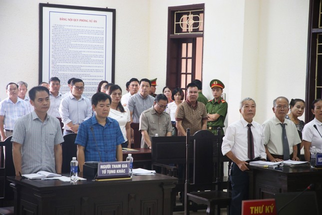 Kỳ án gỗ trắc ở Quảng Trị: Tòa bác đơn kiện Tổng Cục trưởng Hải quan của doanh nghiệp - Ảnh 4.