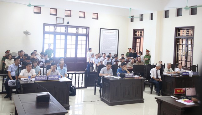 Kỳ án gỗ trắc ở Quảng Trị: Tòa bác đơn kiện Tổng Cục trưởng Hải quan của doanh nghiệp - Ảnh 3.
