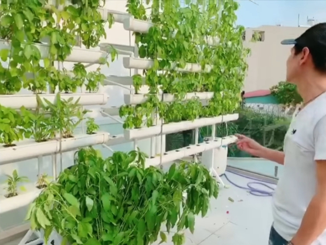 Khi hội nhà giàu tập làm nông dân: Tăng Thanh Hà tự trồng rau sạch, Phạm Hương sở hữu khu vườn với trái ngọt quanh năm - Ảnh 19.