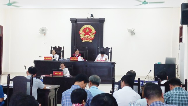 Kỳ án gỗ trắc ở Quảng Trị: Tòa bác đơn kiện Tổng Cục trưởng Hải quan của doanh nghiệp - Ảnh 1.