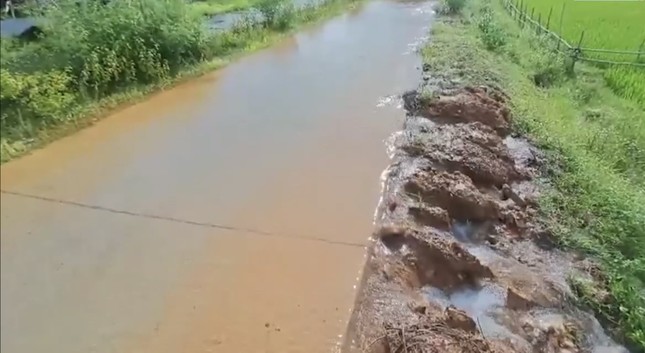 Người dân điêu đứng vì ‘ngập lụt’ giữa mùa hè nắng hạn