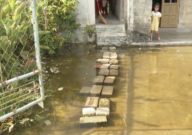 Người dân điêu đứng vì ngập lụt giữa mùa hè nắng hạn - Ảnh 4. Người dân điêu đứng vì ngập lụt giữa mùa hè nắng hạn - Ảnh 4.