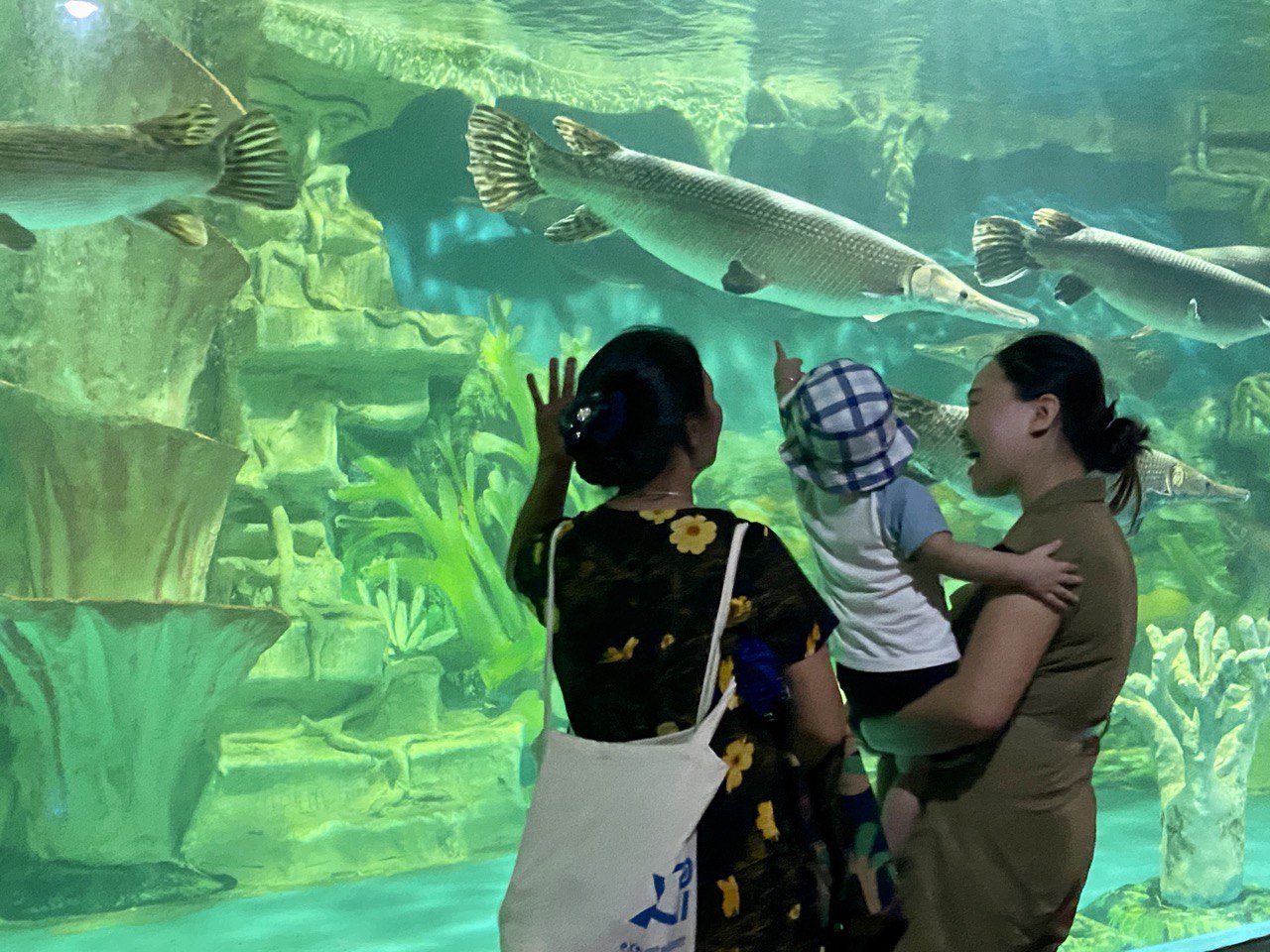 Khu vui chơi trăm triệu đô đình đám nhất Hà Nội 15 năm trước, giờ ra sao? - Ảnh 14. Khu vui chơi trăm triệu đô đình đám nhất Hà Nội 15 năm trước, giờ ra sao? - Ảnh 14.