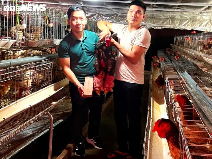 Những cặp ‘chân rồng’ giá tiền triệu, có tiền chưa chắc mua được dịp Tết- Ảnh 1.