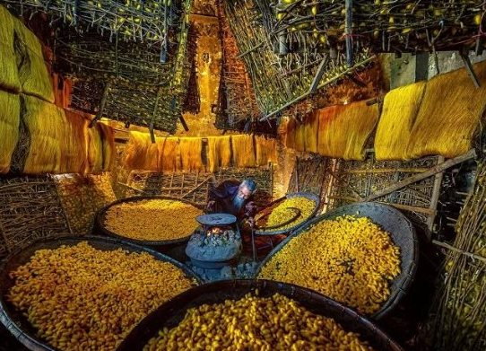 Một mặt hàng tỷ đô của Việt Nam được gần một nửa thế giới săn đón: Thu về hàng tỷ USD mỗi tháng, Nhật Bản, Hàn Quốc cực kỳ ưa chuộng- Ảnh 1.