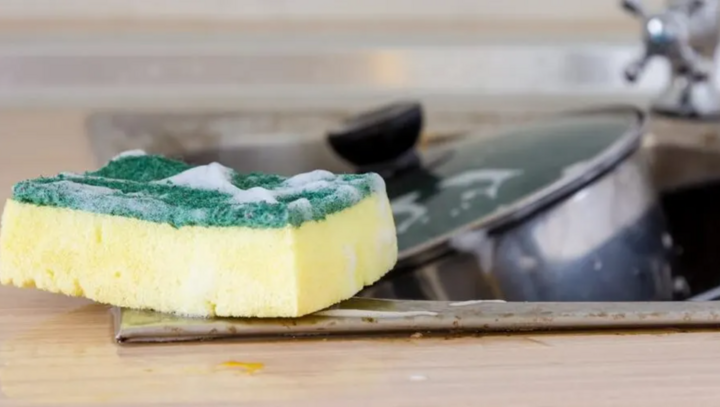 Tại sao phải làm sạch miếng bọt biển nhà bếp hàng ngày?- Ảnh 1.