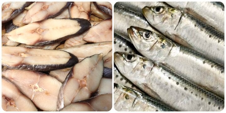 5 loại cá giàu dinh dưỡng, tốt cho sức khoẻ nên mua khi đi chợ- Ảnh 1.