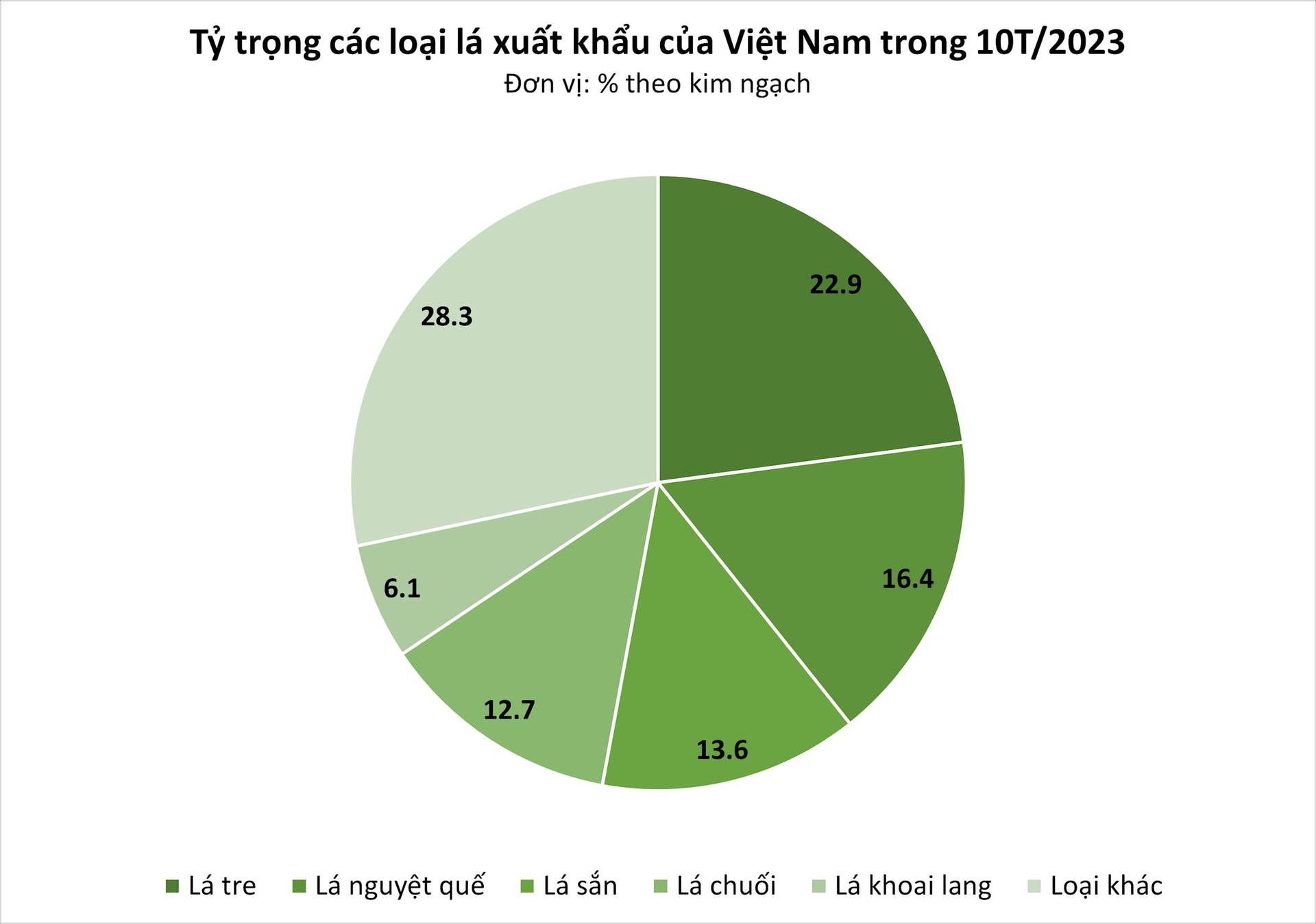 Loại lá bỏ đi không ai lấy sang nước ngoài thành hàng đắt đỏ, đều đặn mang về 2 triệu USD/năm cho Việt Nam- Ảnh 2.