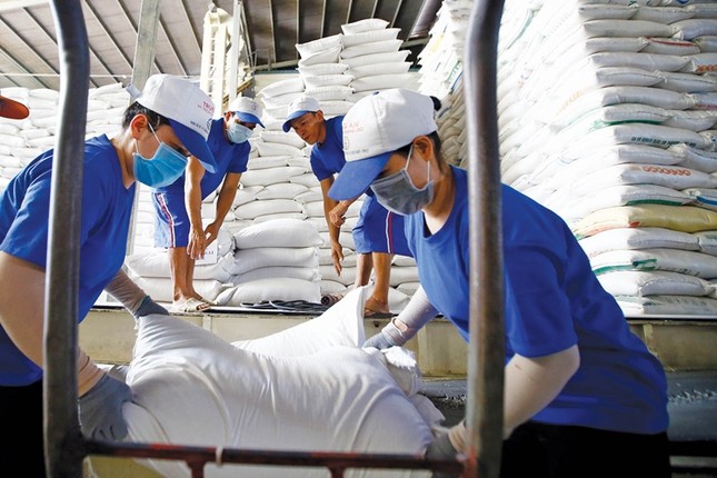 Không phải ăn may, lý do gạo Việt xuất khẩu cao nhất thế giới là gì?- Ảnh 1.