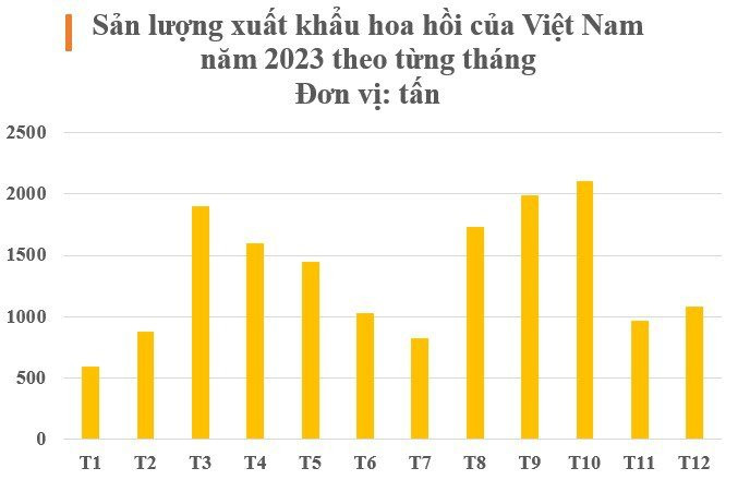 Việt Nam sở hữu 'cánh hoa nghìn tỷ' cực hiếm trên thế giới: Ấn Độ, Trung Quốc đua nhau săn lùng, nước ta cạnh tranh với Trung Quốc thống trị nguồn cung toàn cầu- Ảnh 2.