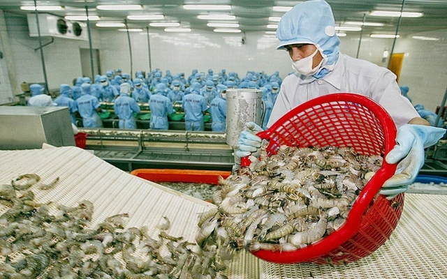 Mặt hàng của Việt Nam được 100 quốc gia nhập về ăn, doanh thu hơn 3 tỷ USD, sản lượng vượt 1 triệu tấn- Ảnh 4.