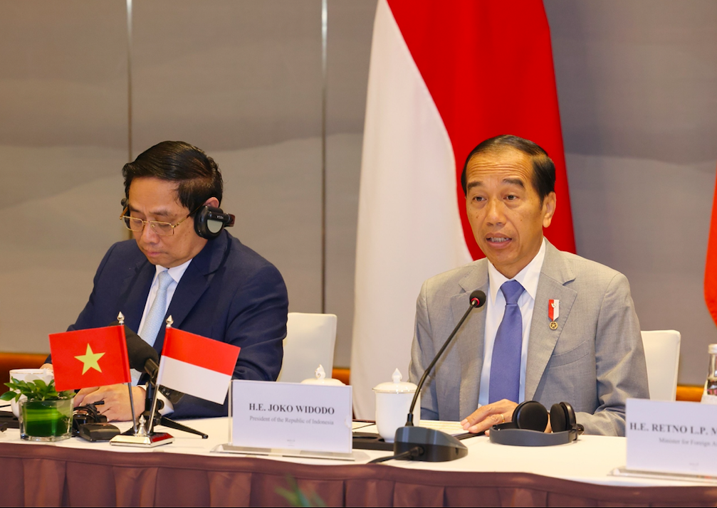 Indonesia muốn các doanh nghiệp hàng đầu Việt Nam đầu tư vào thủ đô mới- Ảnh 2.