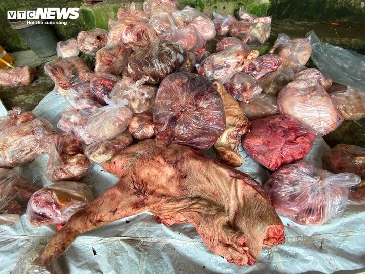 Phát hiện hơn 3 tấn thịt lợn và nội tạng bốc mùi hôi thối ở Huế