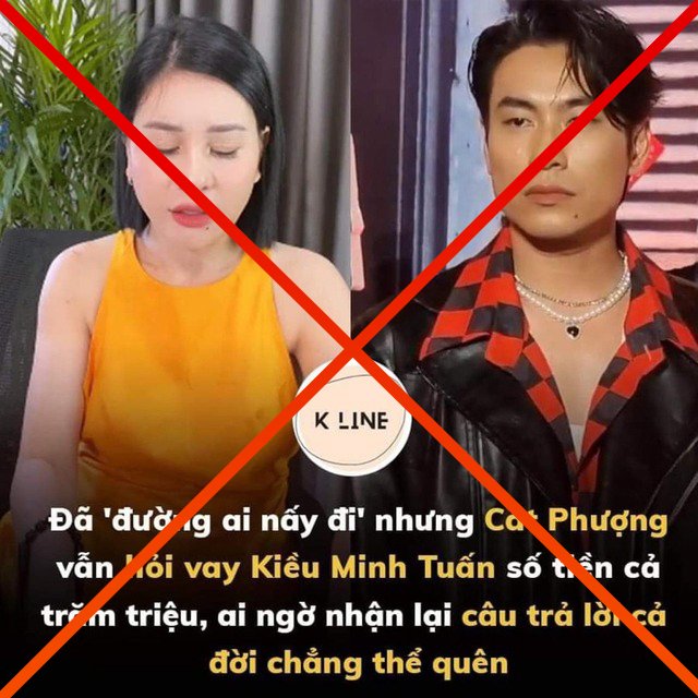 Nghệ sĩ Việt bức xúc vì tin đồn thất thiệt- Ảnh 4.