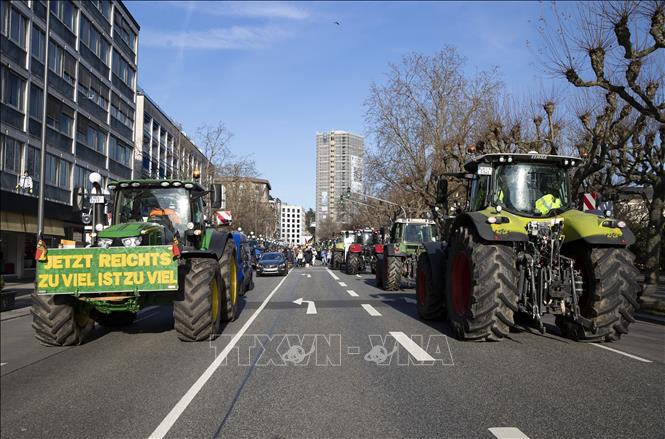 Nguồn cơn khiến người nông dân châu Âu bất bình đổ ra đường biểu tình- Ảnh 1.