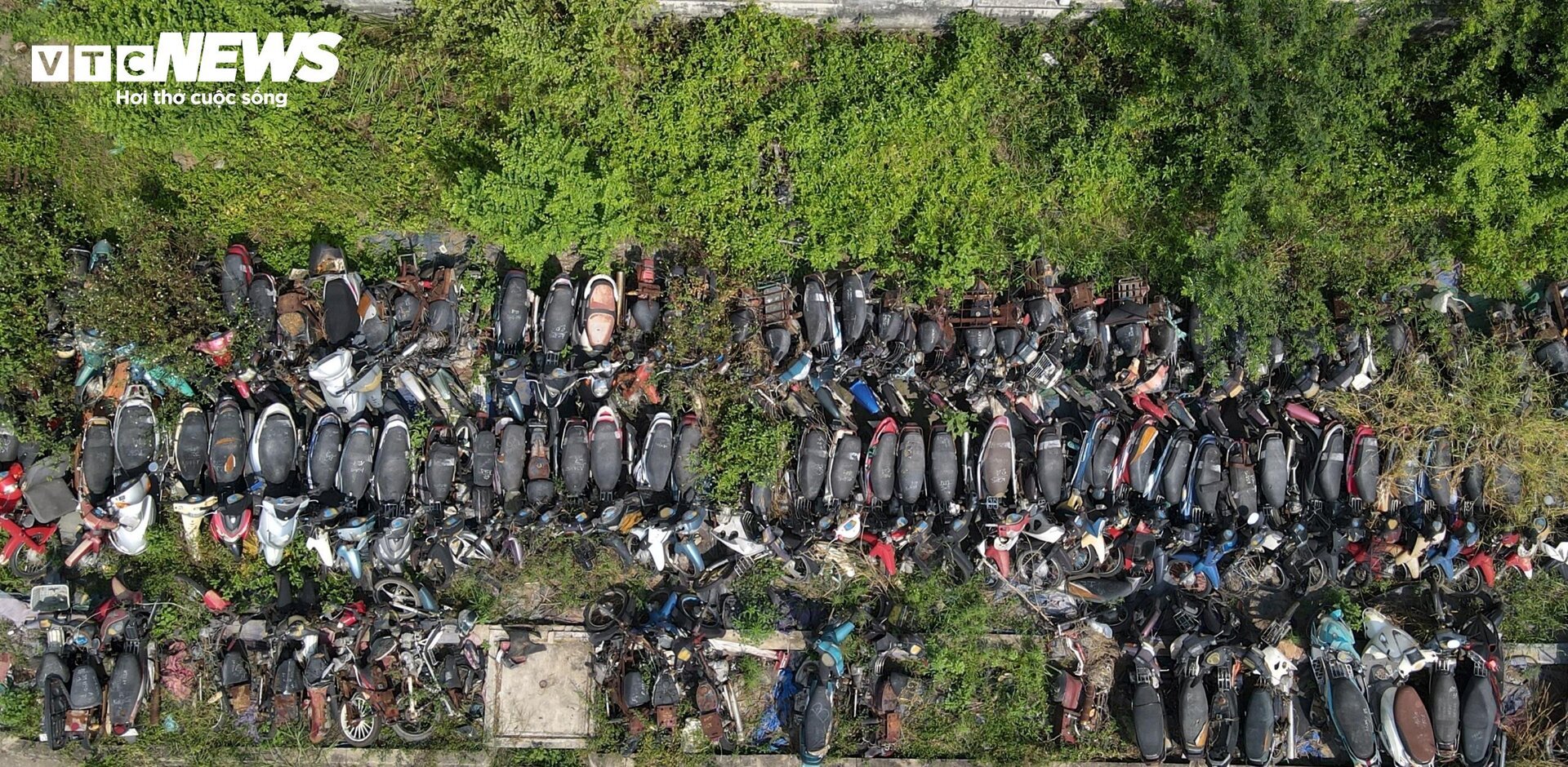 Bạt ngàn xe tại bãi giữ tang vật của CSGT TP.HCM- Ảnh 13.
