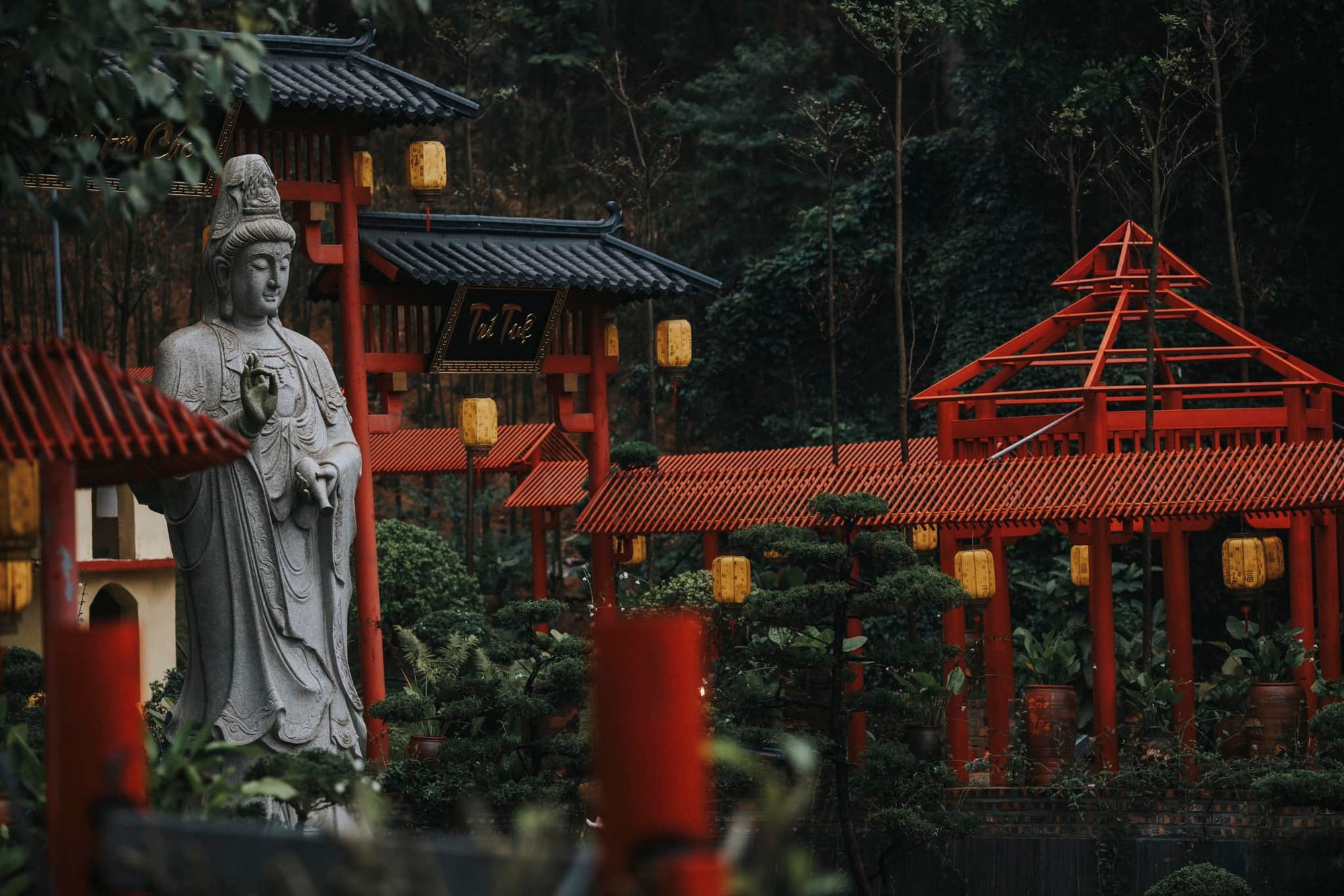 Phát hiện ngôi chùa có cây cổ thụ trăm tuổi, cách Hà Nội chỉ hơn 1 giờ lái xe, phù hợp đi lễ dịp đầu năm- Ảnh 10.