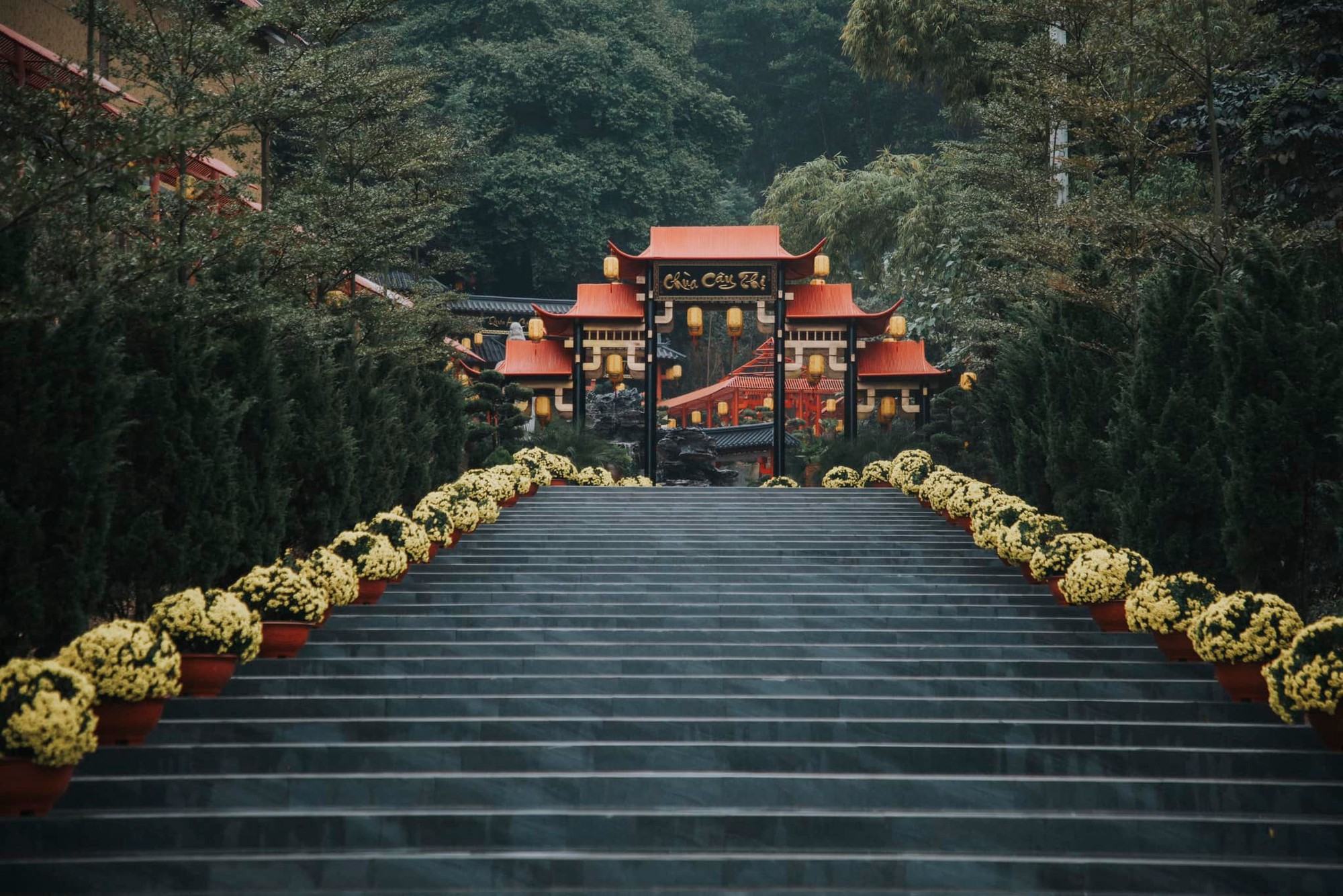 Phát hiện ngôi chùa có cây cổ thụ trăm tuổi, cách Hà Nội chỉ hơn 1 giờ lái xe, phù hợp đi lễ dịp đầu năm- Ảnh 7.