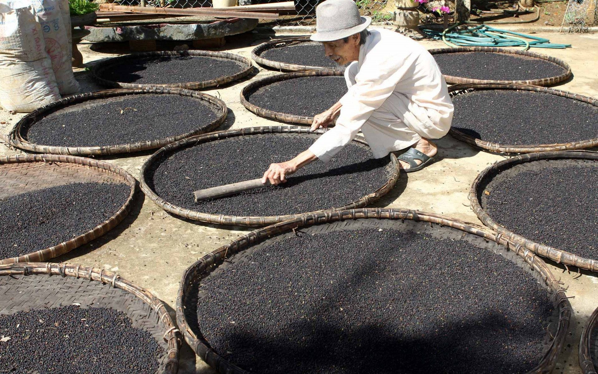 Một loại 'vàng đen' của Việt Nam được Trung Quốc liên tục săn lùng: xuất khẩu tăng nóng, cả thế giới đều phụ thuộc vào Việt Nam- Ảnh 1.