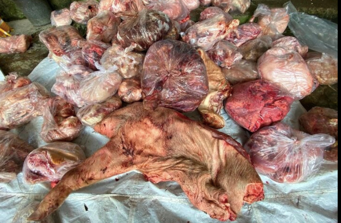 Đi chợ Tết đừng mua thịt, nội tạng động vật có dấu hiệu này vì dễ mua phải hàng đông lạnh ôi thiu, chứa "ổ vi khuẩn" đáng sợ- Ảnh 1.