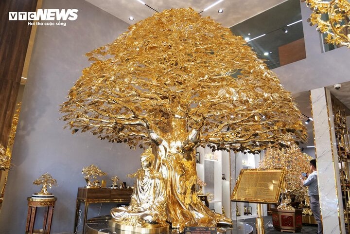 Chiêm ngưỡng cây bồ đề mạ vàng, nặng hơn 1 tấn ở TP.HCM- Ảnh 1.