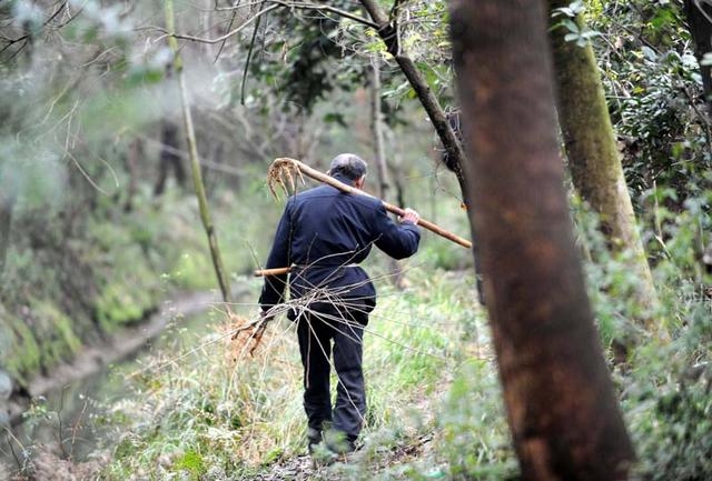 Lão nông lên núi phát hiện 1 con vật "đen sì" kỳ lạ, cảnh sát lập tức phong tỏa cả ngôi làng- Ảnh 2.