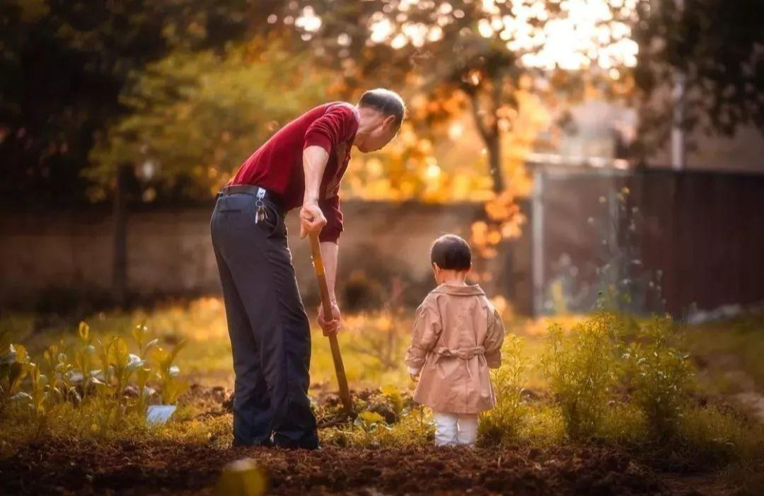 Về già, cha mẹ thiếu đi 3 điều này, con cháu sẽ khổ trăm bề, giàu có đến mấy cũng ít phúc- Ảnh 3.