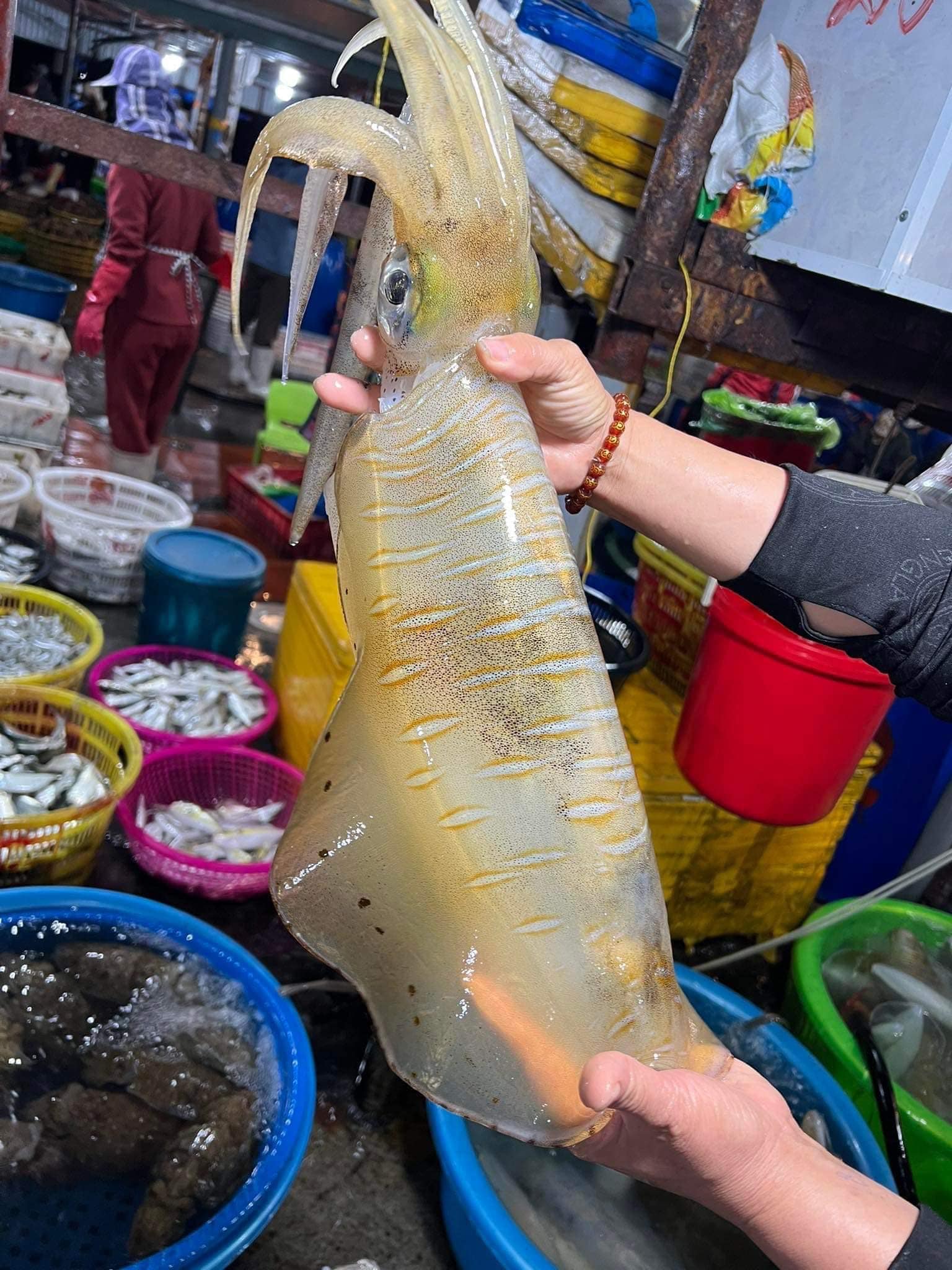 Phân biệt cực nhanh mực Việt và mực nhập khẩu để mua ăn Tết cho chuẩn- Ảnh 3.