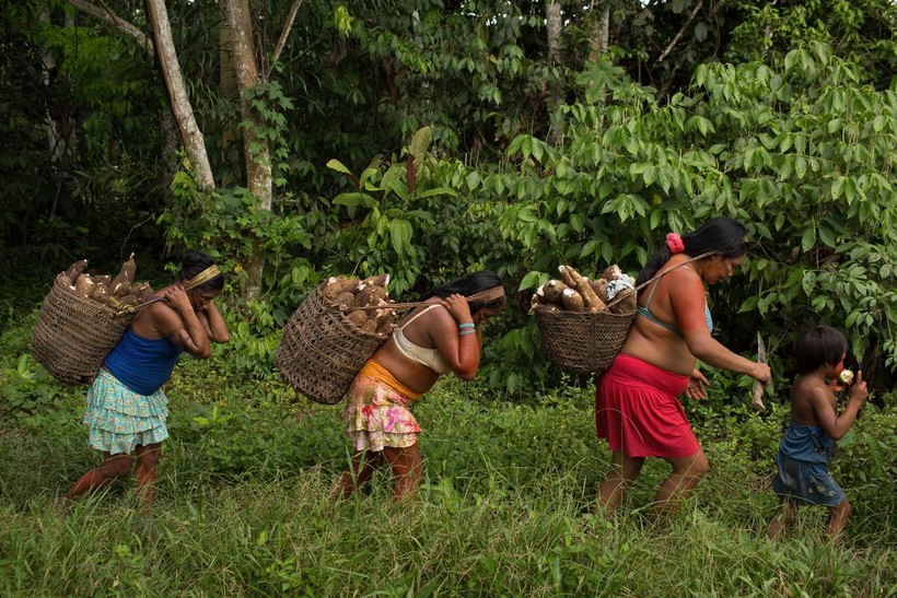 Bộ lạc nằm sâu trong rừng Amazon- Ảnh 1.