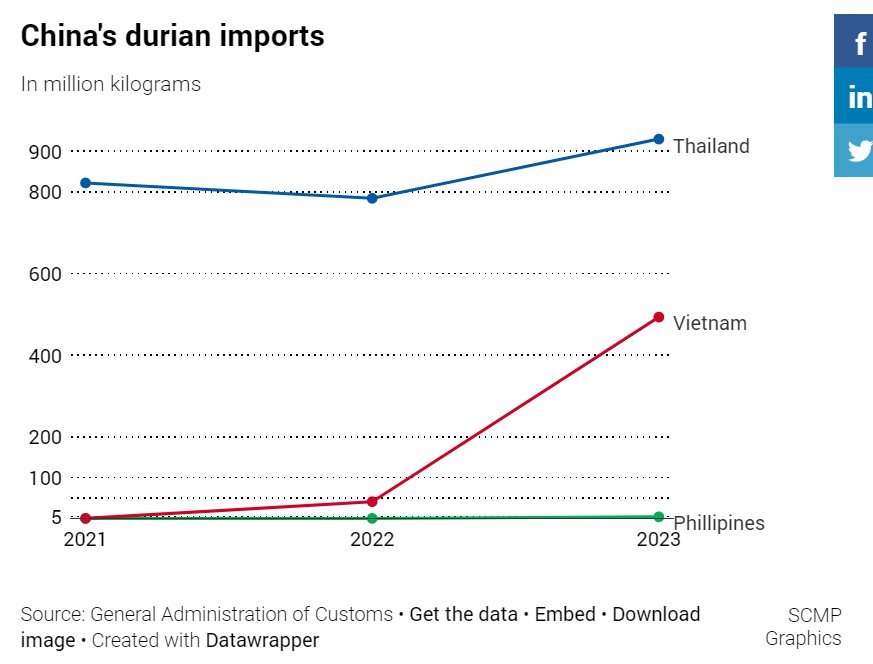 'Vua các loại trái cây' của Việt Nam xưng vương ở Trung Quốc: Người dân trở thành tín đồ, buộc Thái Lan nhường thị phần trong 'miếng bánh' khổng lồ- Ảnh 3.