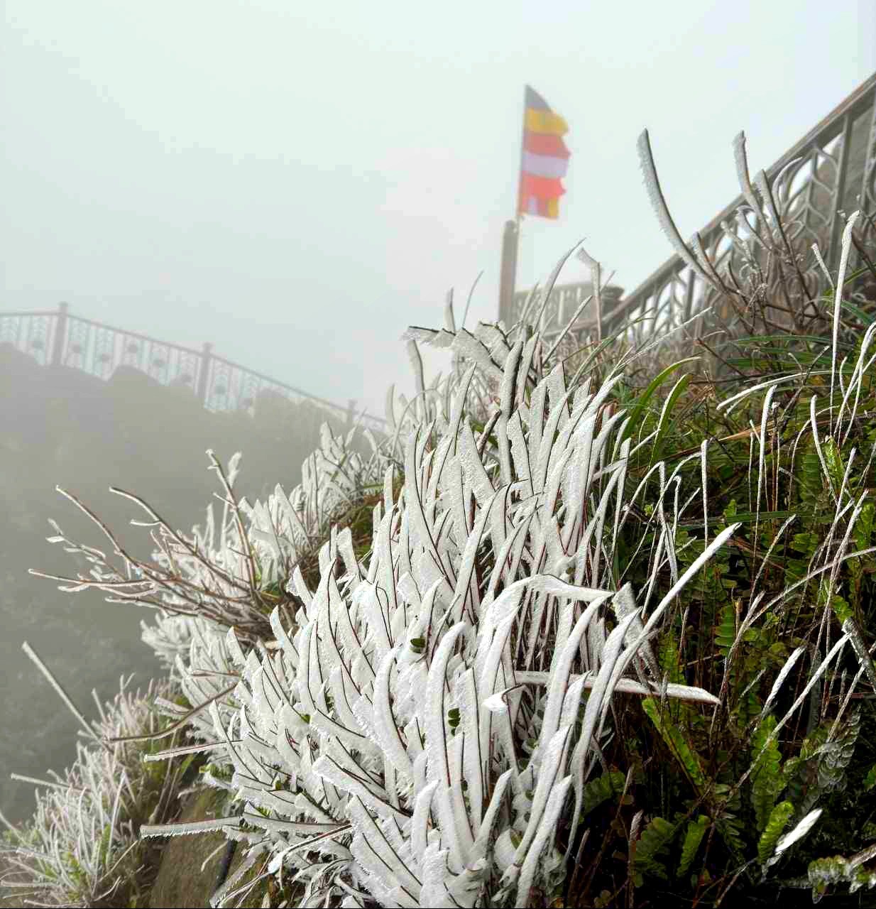 Băng tuyết phủ trắng chùa Đồng núi Yên Tử- Ảnh 10.