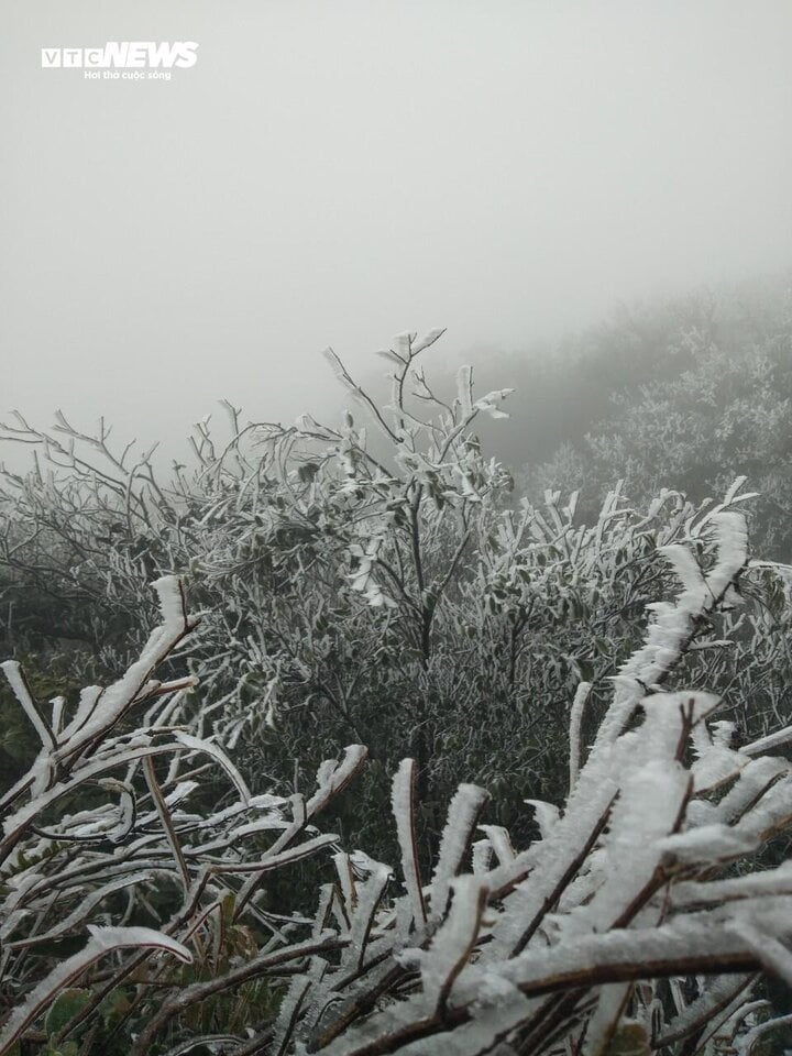Nhiệt độ xuống -1,1 độ C, băng giá phủ kín đỉnh Mẫu Sơn- Ảnh 5.