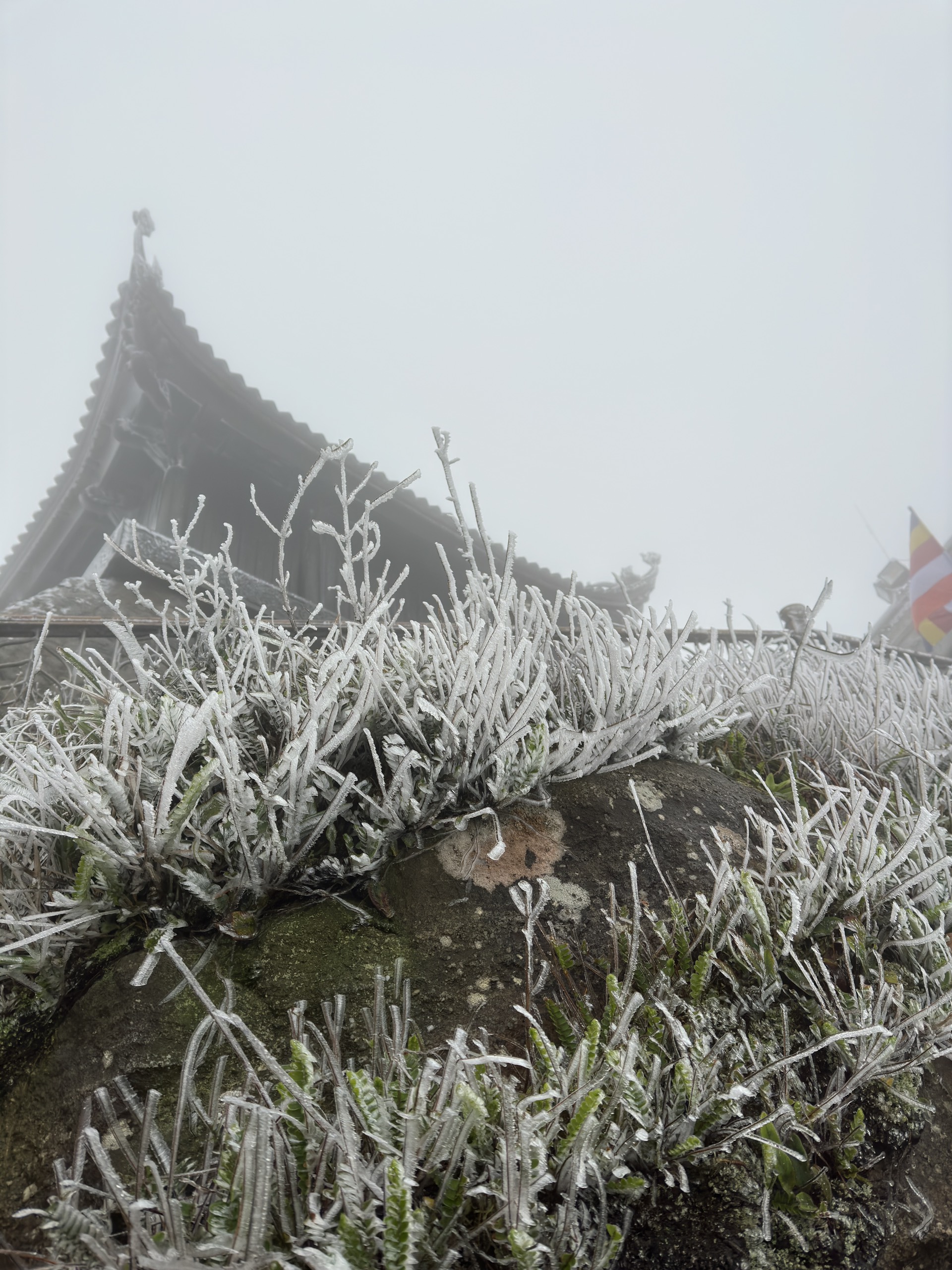 Băng tuyết phủ trắng chùa Đồng trên đỉnh Yên Tử- Ảnh 2.