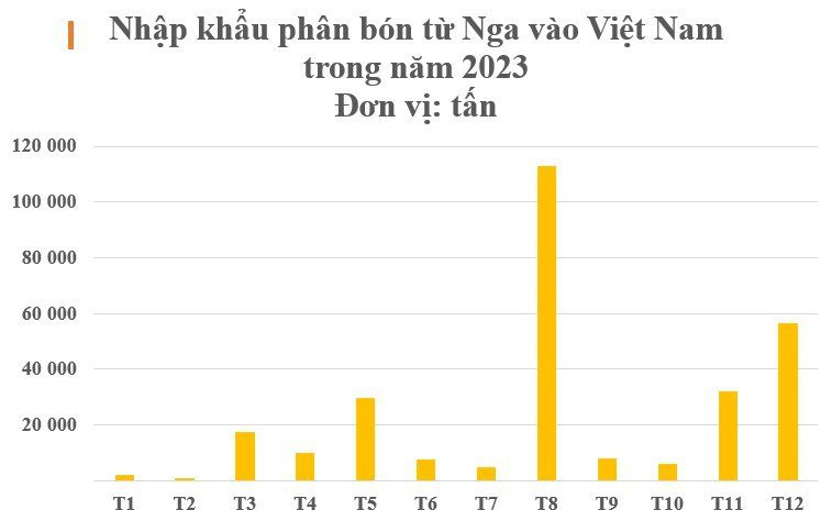 Mặt hàng này từ Nga liên tục đổ bộ Việt Nam với giá rẻ cực hấp dẫn, Việt Nam chớp cơ hội 'vàng' chi hàng trăm triệu USD gom hàng- Ảnh 3.