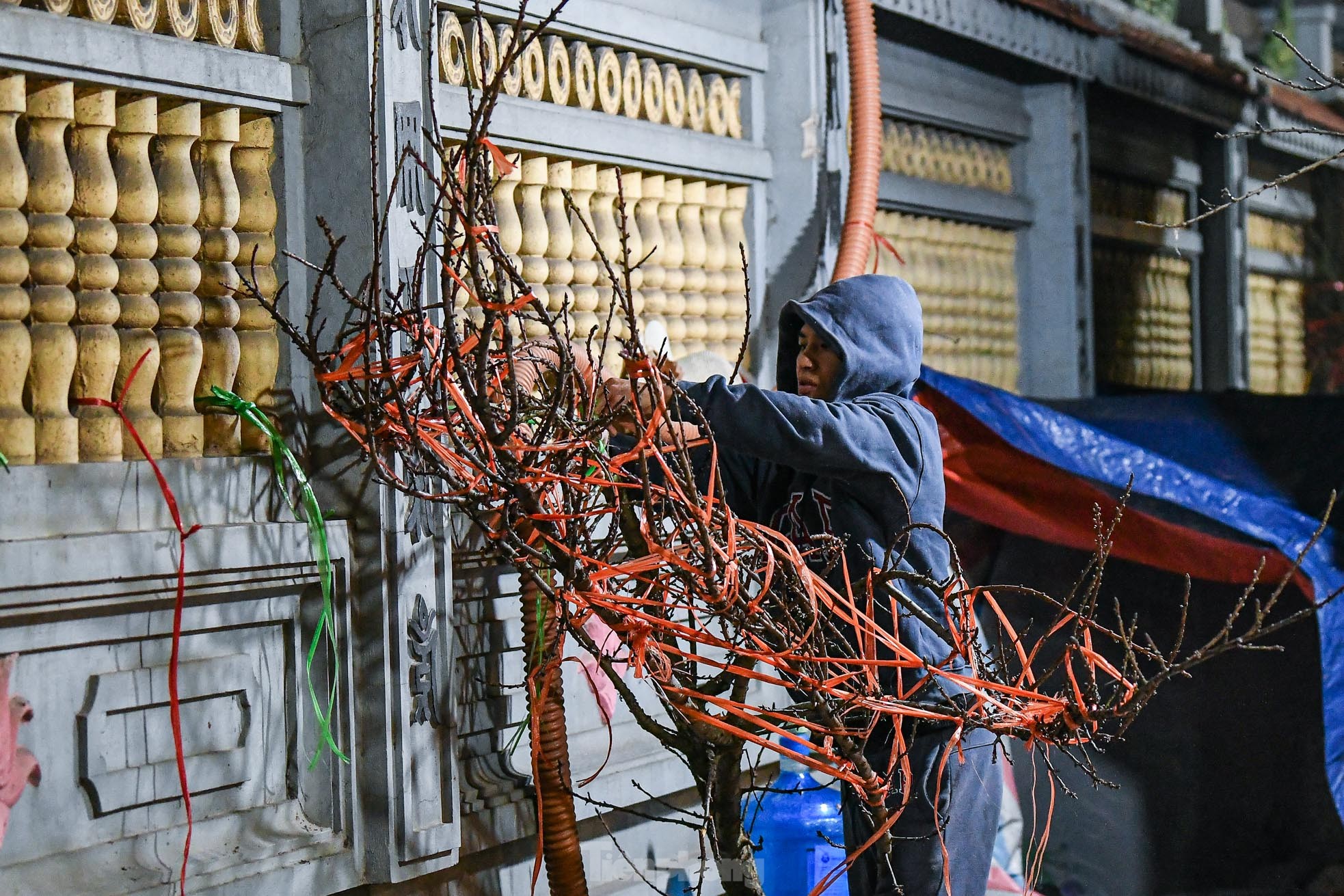 Hà Nội dưới 8 độ C, tiểu thương dựng lều, đốt lửa xuyên đêm trông đào quất trong giá lạnh- Ảnh 10.