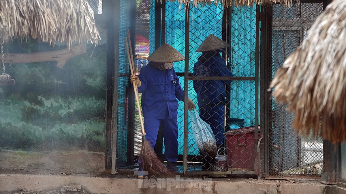 Hà Nội rét tê tái, sư tử phải nằm máy sưởi, hà mã ngâm nước ấm- Ảnh 13.