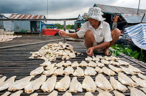 Việt Nam sở hữu kho báu dưới nước được 2/3 thế giới 'thèm khát': Người Trung Quốc thừa nhận 'ăn đứt' hàng nội, thu về hàng tỷ USD năm qua- Ảnh 1.