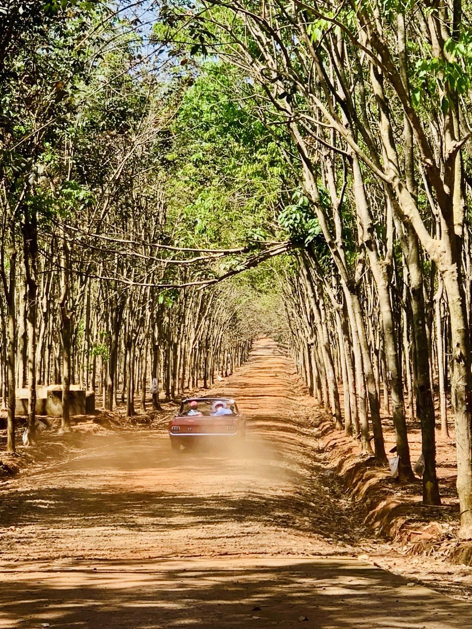 Dàn xe cổ trăm tuổi chạy gần 7.000km xuyên rừng ĐNÁ: Qua 4 nước, xuất phát từ TP.HCM, kết thúc ở Hà Nội- Ảnh 25.