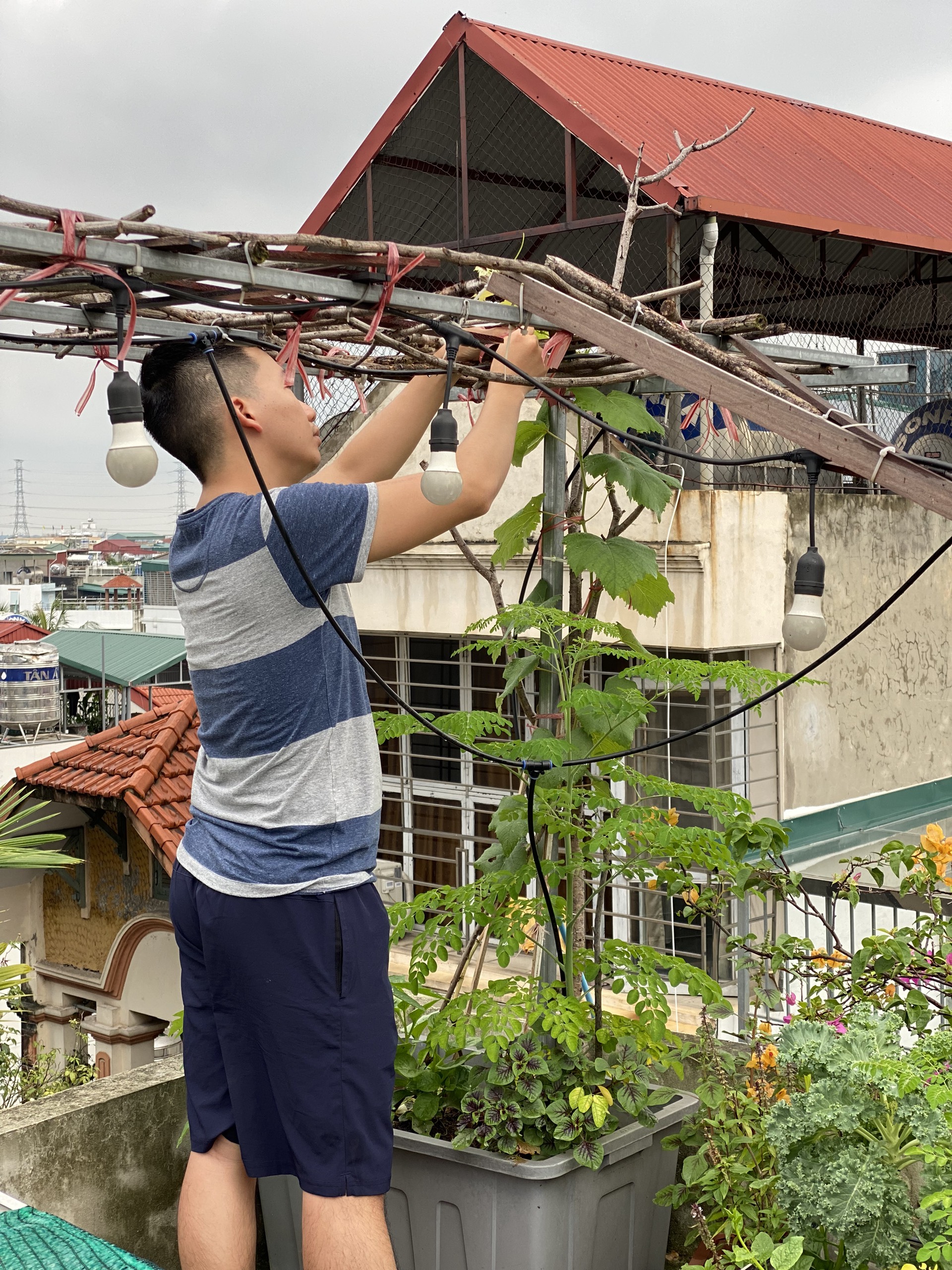 Mẹ 9X biến sân thượng thành khu vườn trồng đủ các loại rau củ quả, thu hoạch được cả dưa bở, thanh long... cả nhà ăn không xuể- Ảnh 31.