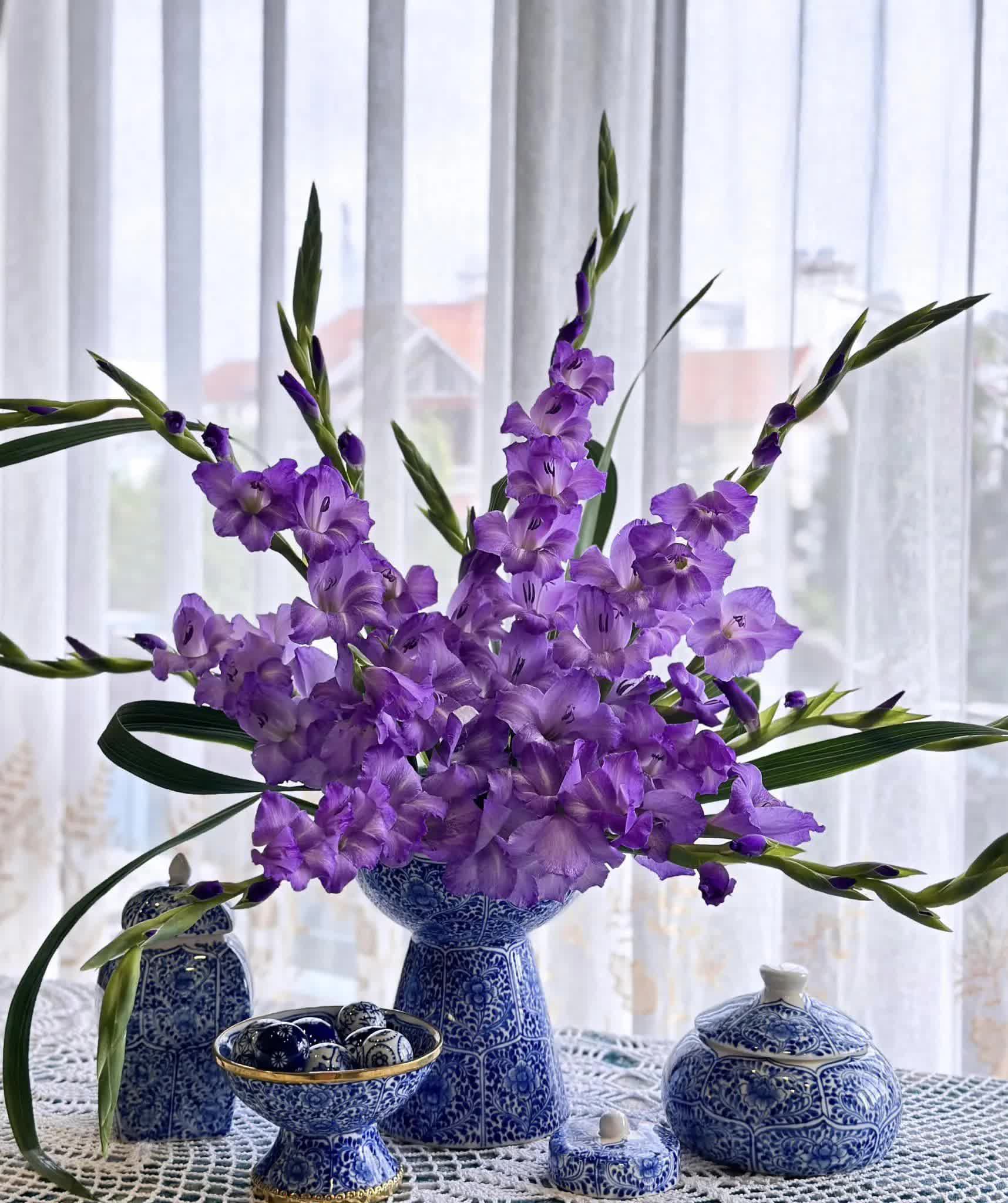 Loài hoa tượng trưng cho may mắn, Tết này cắm một bình trong nhà, hi vọng cả năm vượng tài, vui vẻ, giá lại rẻ- Ảnh 18.