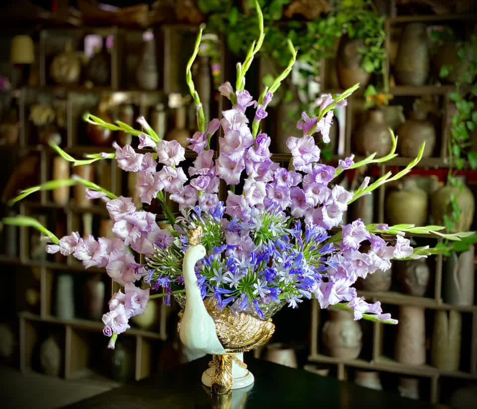 Loài hoa tượng trưng cho may mắn, Tết này cắm một bình trong nhà, hi vọng cả năm vượng tài, vui vẻ, giá lại rẻ- Ảnh 20.