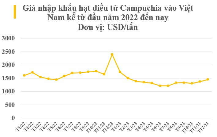 'Cứu tinh' từ Campuchia đổ bộ giúp Việt Nam trở thành vua ngành hàng này: Thu về gần 4 tỷ USD trong năm 2023, sản lượng gấp hơn 3 lần so với Ấn Độ- Ảnh 3.