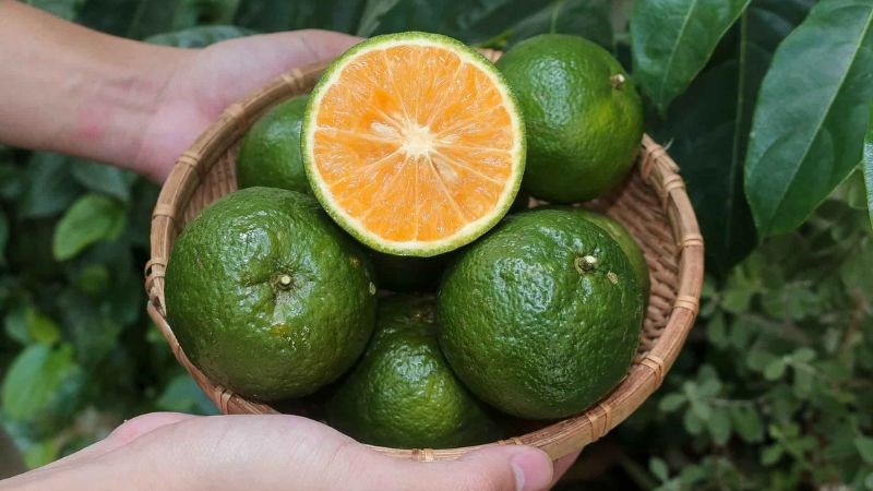 1 loại quả có vị ngọt là “nữ hoàng vitamin C”, hạ đường huyết cực hiệu quả : Chợ Việt đang vào mùa- Ảnh 3.