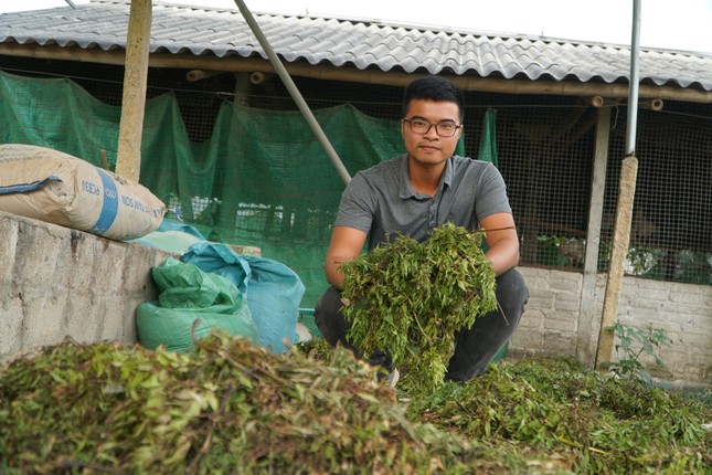 Chàng trai từ bỏ lương kỹ sư điện ở thành phố, về quê nuôi gà thảo dược- Ảnh 2.