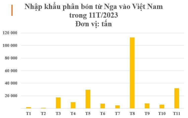 Nga bất ngờ tăng xuất khẩu một mặt hàng đến Việt Nam hơn 500%, giá rẻ cực hấp dẫn- Ảnh 2.