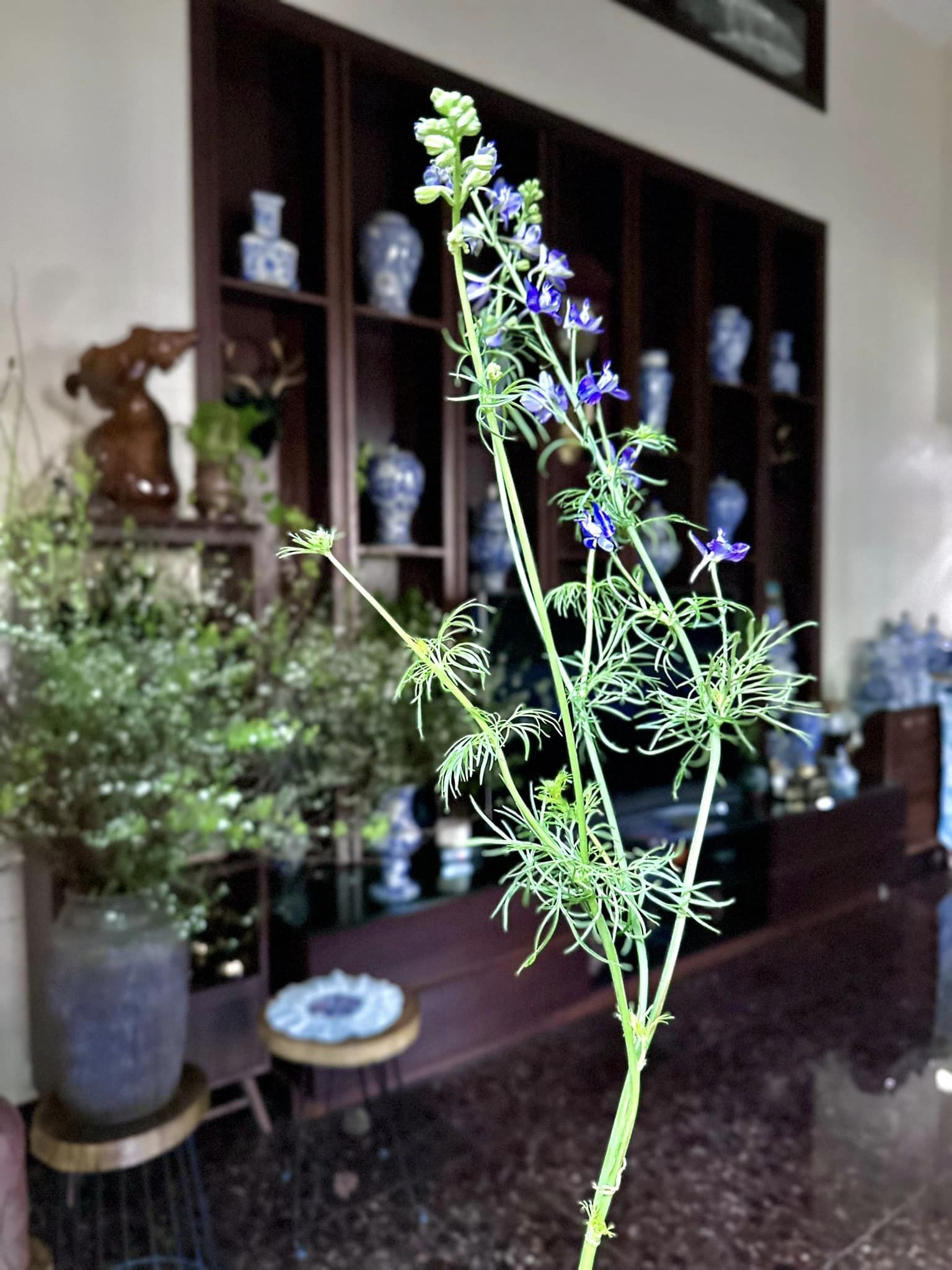 Mẹo cắm hoa Violet và lựa bình phù hợp để có ngay không gian phòng khách chuẩn vị Tết xưa, sáng bừng sức sống, tươi lâu cả tuần- Ảnh 4.