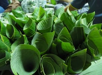 Loại lá gói xôi ở Việt Nam ra nước ngoài thành sản vật giá nửa triệu/kg, xuất khẩu thu về chục tỷ/năm- Ảnh 1.