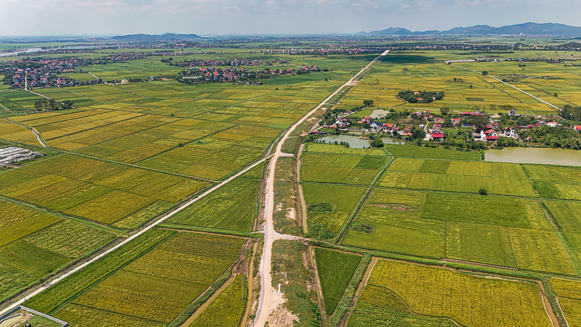 Ngắm cầu dây văng nghìn tỷ đầu tiên của tỉnh tăng trưởng cao nhất cả nước trước ngày thông xe- Ảnh 7.