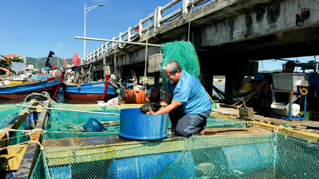 Nuôi con vật "hiền như đất" mê bơi lội, anh nông dân kiếm 23 tỷ/năm rất nhẹ nhàng - Ảnh 3.